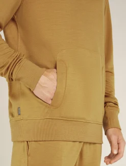 Icebreaker Jumpers & Hoodies^Men's Merino Blend 200 Shifter Long Sleeve Hoodie Russet