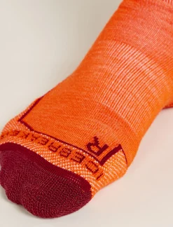 Icebreaker Socks^Men's Merino Hike+ Medium Crew Sedimentary Socks Blaze/Port